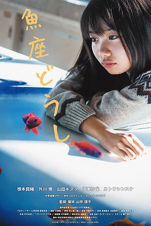 魚座どうし afişi