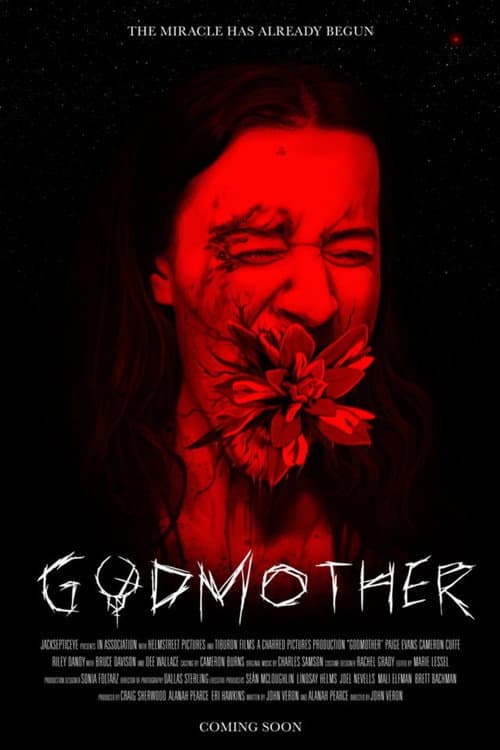 Godmother afişi