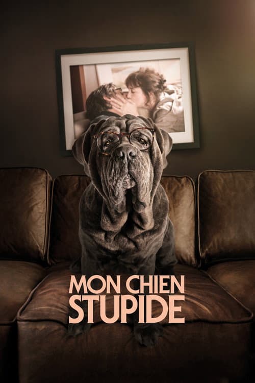 Benim Şapşik Köpeğim afişi