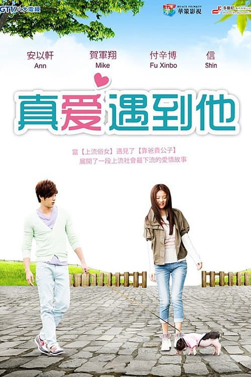 上流俗女 afişi