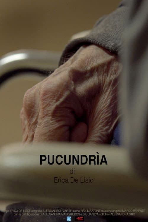 Pucundrìa afişi