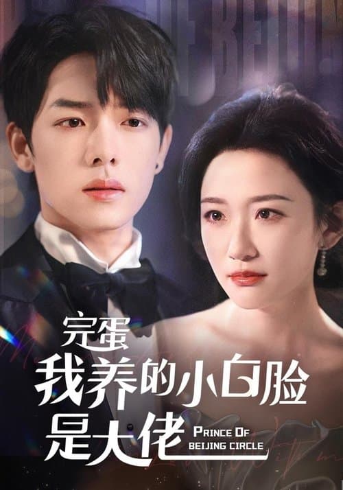 完蛋我养的小白脸是大佬 afişi