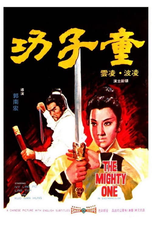 童子功 afişi