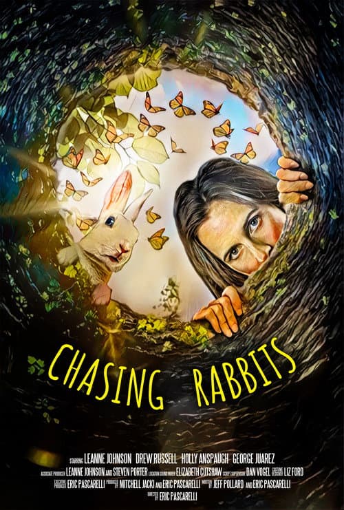 Chasing Rabbits afişi
