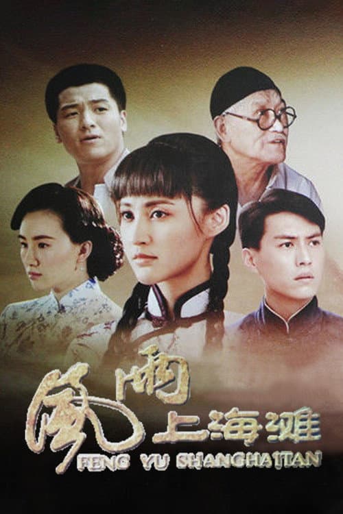 风雨上海滩 afişi