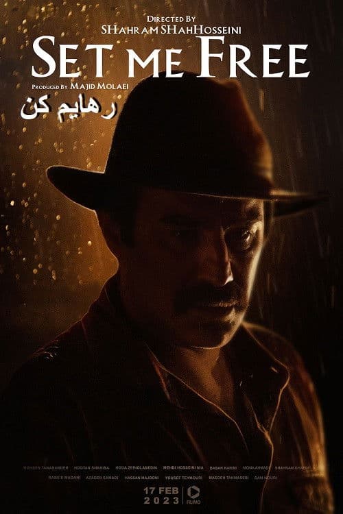 رهایم کن afişi