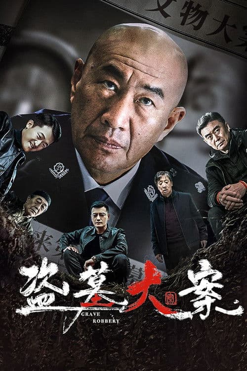 盗墓大案 afişi