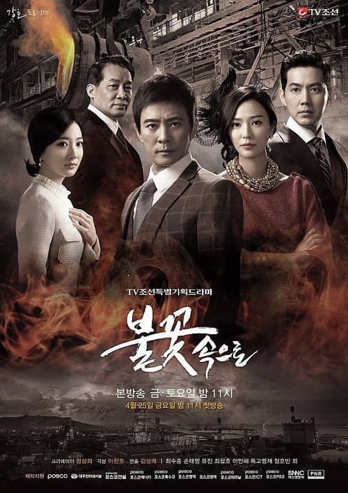 불꽃속으로 afişi
