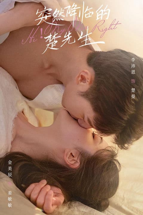 突然降临的楚先生 afişi