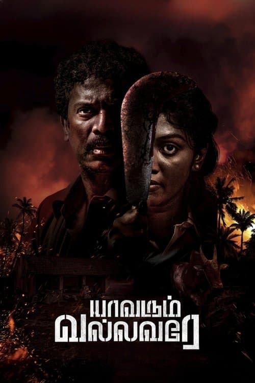 யாவரும் வல்லவரே afişi
