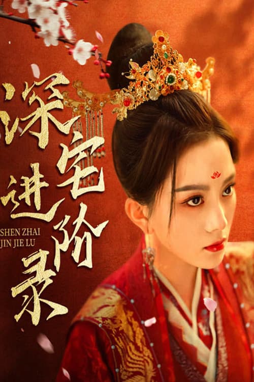 深宅进阶录 afişi