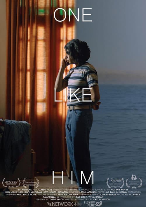 One Like Him afişi