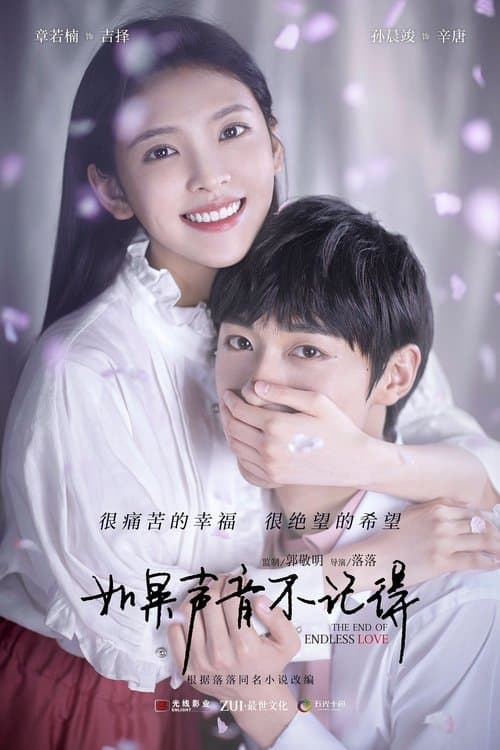 如果声音不记得 afişi