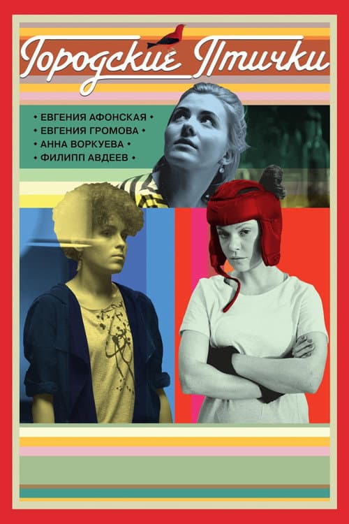 Городские птички afişi