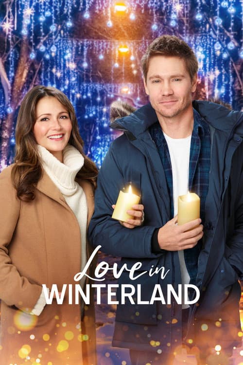 Love in Winterland afişi