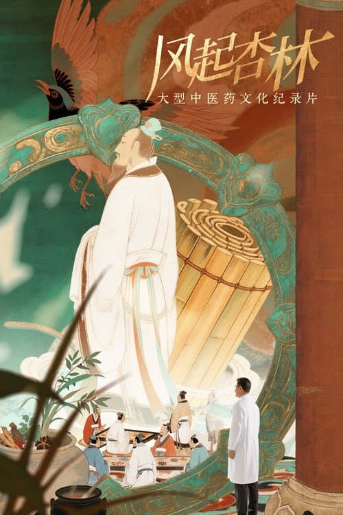 风起杏林 afişi