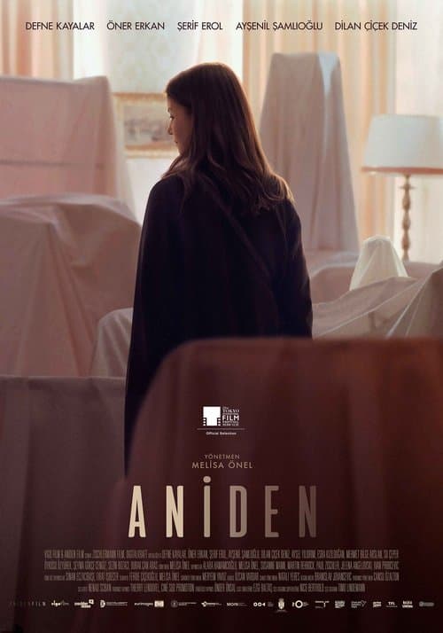 Aniden afişi