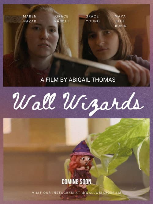 Wall Wizards afişi