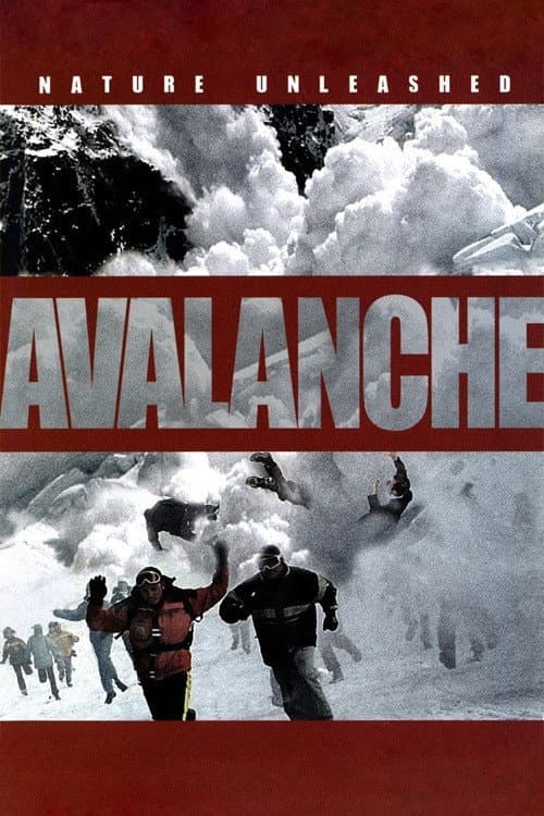 Nature Unleashed:  Avalanche afişi