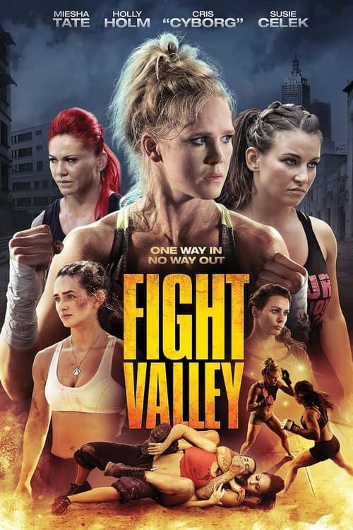 Fight Valley afişi