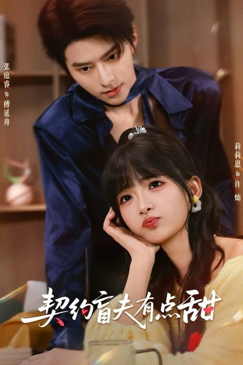 契约盲夫有点甜 afişi