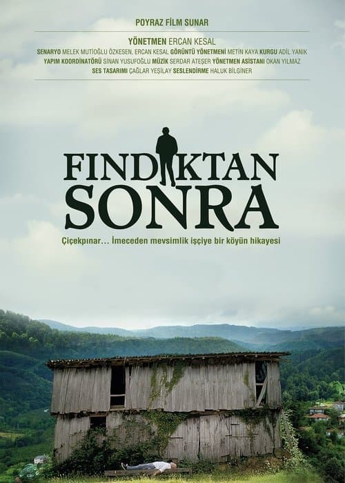 Fındıktan Sonra afişi