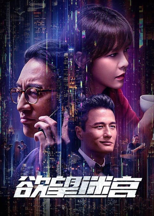 欲望迷宫 afişi