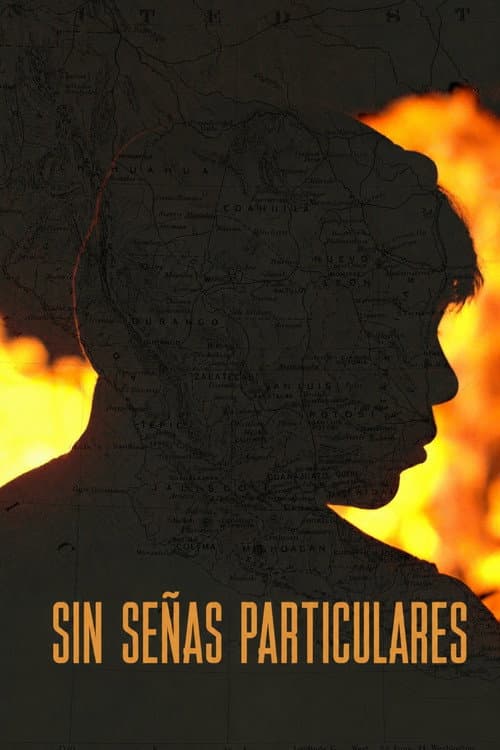 Sin Senas Particulares afişi
