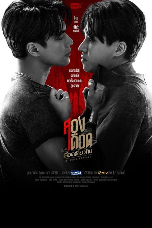 สองเดือดเลือดเดียวกัน afişi