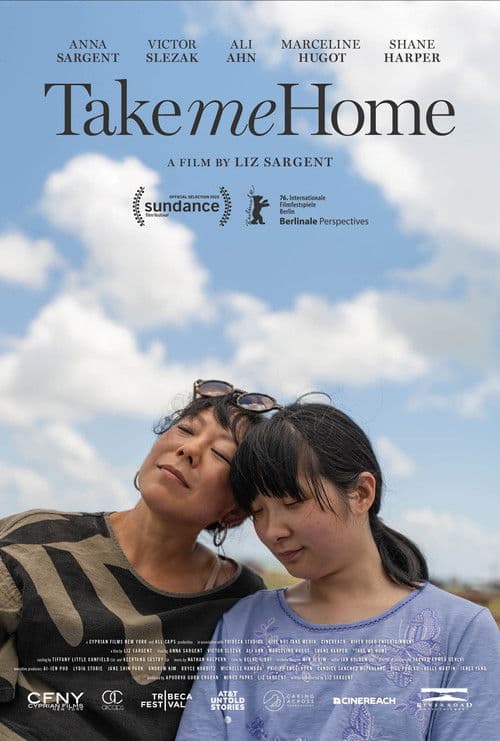 Take Me Home afişi
