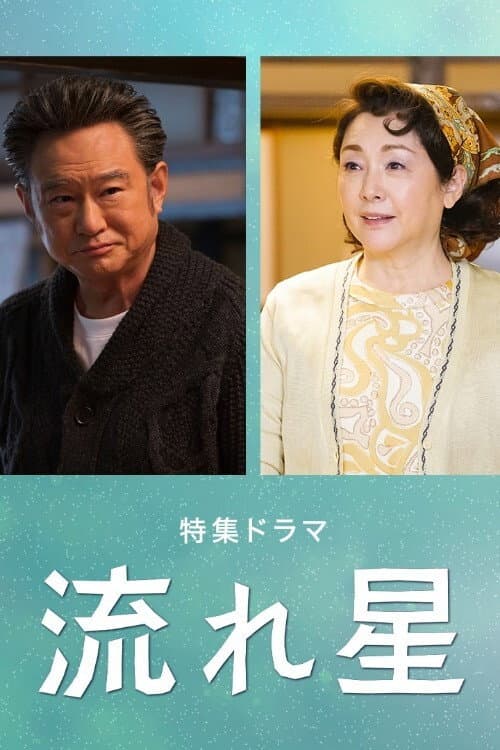 流れ星 afişi
