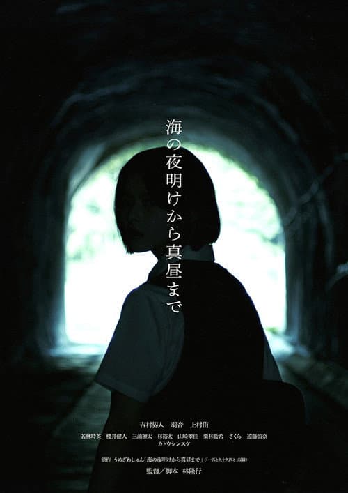 海の夜明けから真昼まで afişi