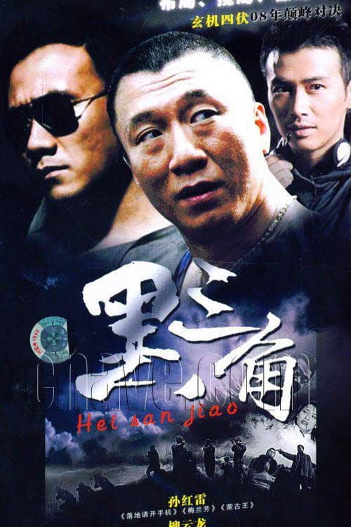 黑三角 afişi