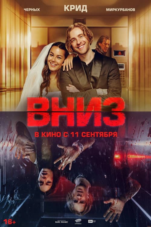 Вниз afişi
