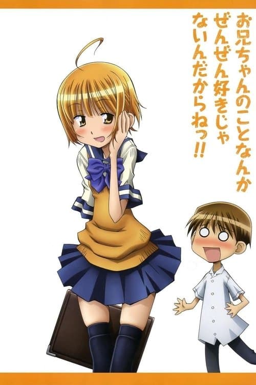 お兄ちゃんのことなんかぜんぜん好きじゃないんだからねっ！！ afişi