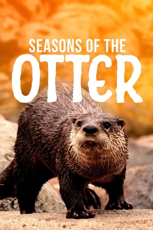 Seasons of the Otter afişi