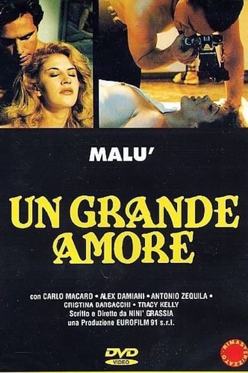 Un grande amore afişi