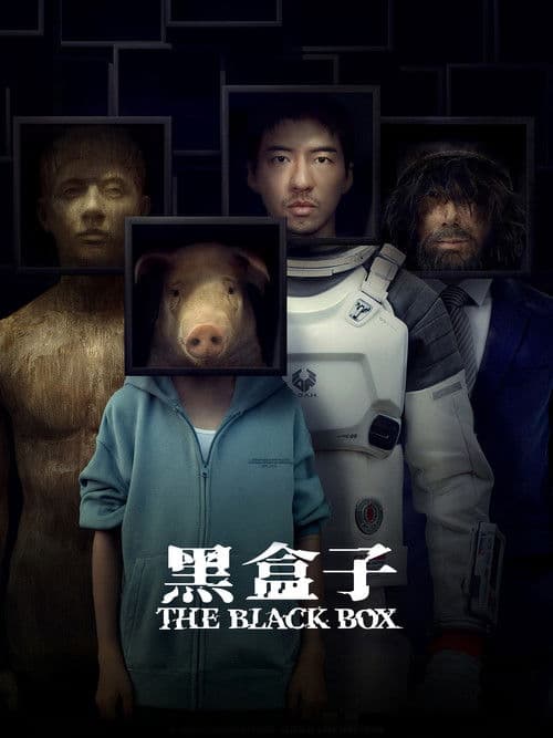 黑盒子 afişi