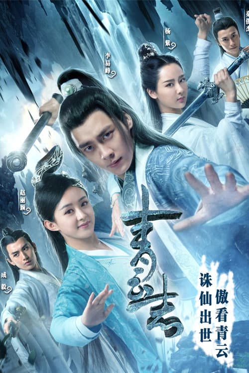 青云志 afişi