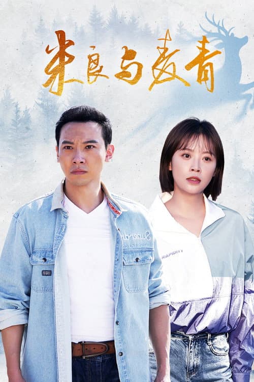 米良与麦青 afişi