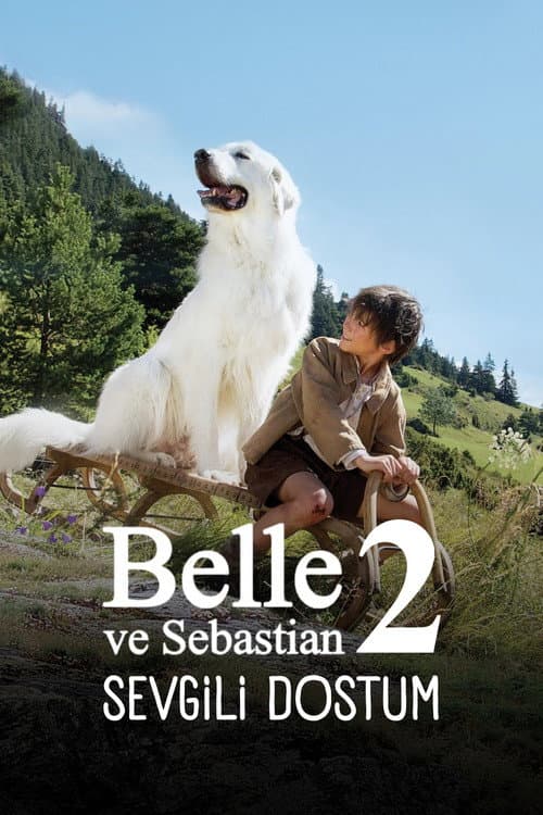 Sebastian Sevgili Dostum afişi