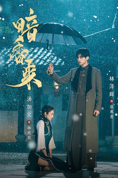 暗香来 afişi