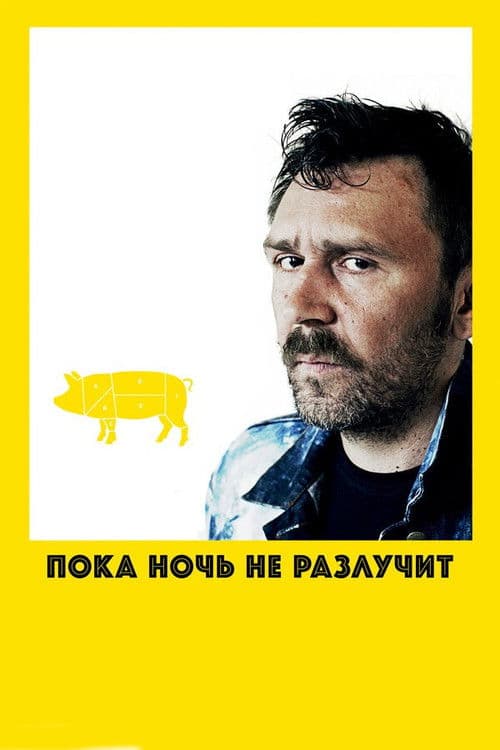 Пока ночь не разлучит afişi