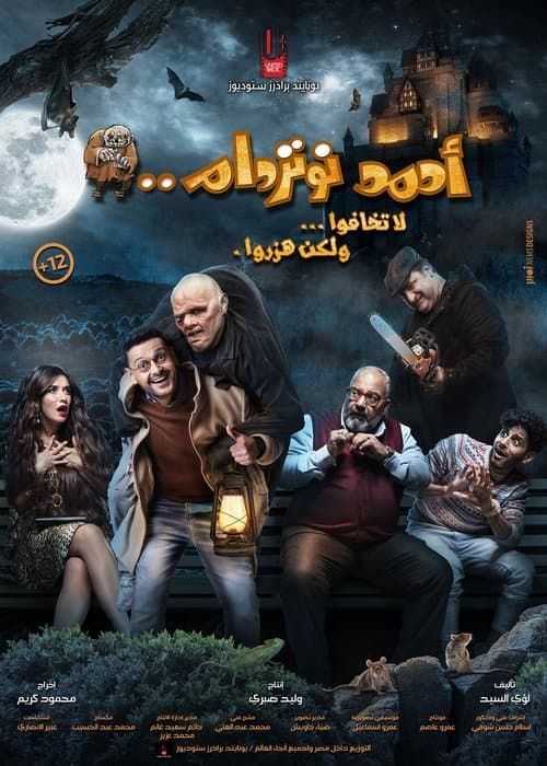 أحمد نوتردام afişi