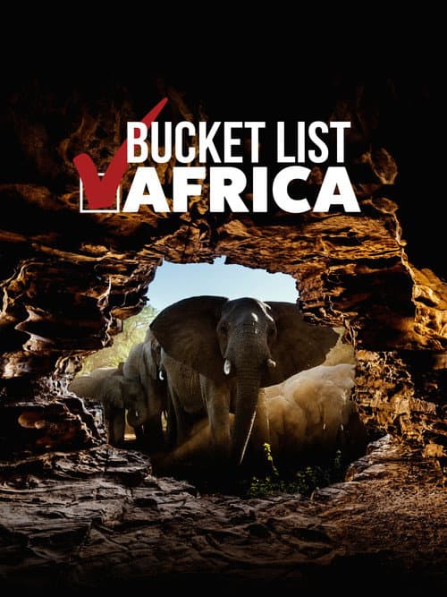 Bucket List: Africa afişi