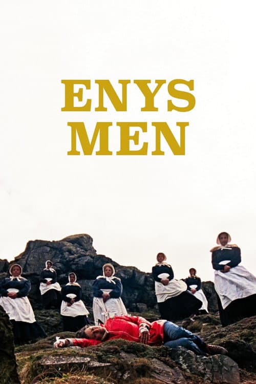 Enys Men afişi