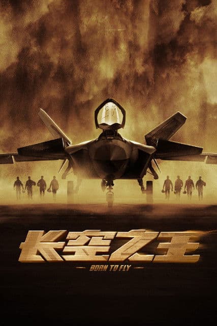 长空之王 afişi