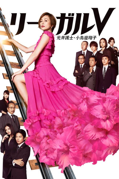 リーガルV～元弁護士・小鳥遊翔子～ afişi