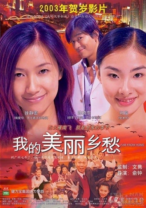 我的美丽乡愁 afişi
