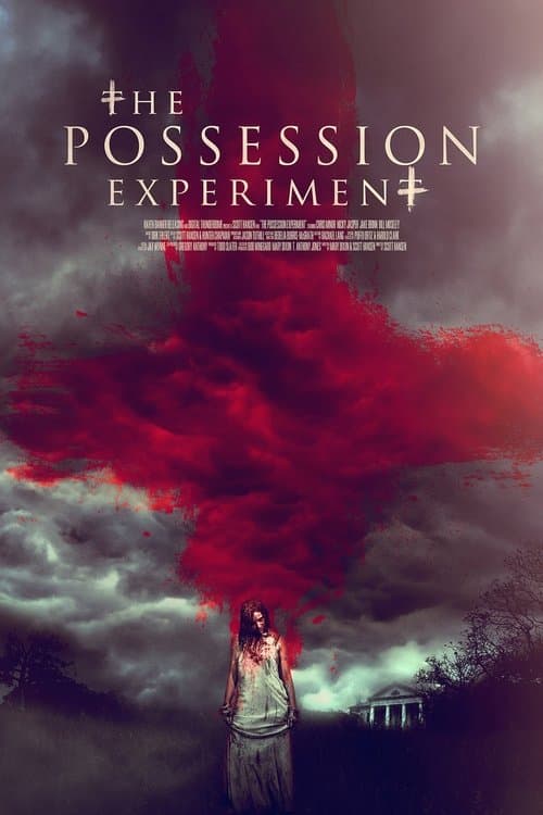 The Possession Experiment afişi